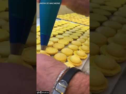 Macaron festival