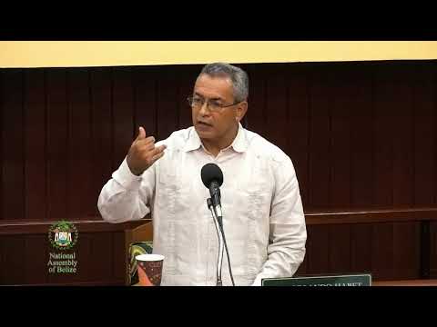 Sitting of the House of Representatives | July 24, 2020 Video