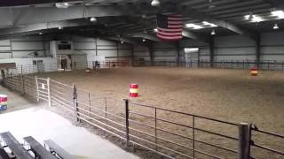 Appaloosa Barrel Horse