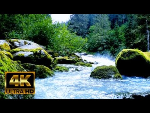 BEST ULTRA 4K HD BEAUTIFUL RIVER, AMAZING QUALITY RELAXING MEDITATION MUSIC FOR MINDFULNESS, CALM