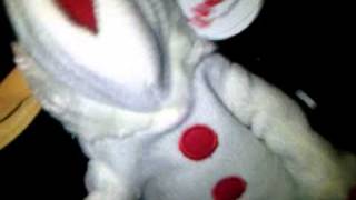 Little Lamb Chop Sesh