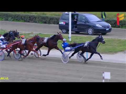 VII Corsa del 16 Marzo - 5 Anni ed oltre - Metri 2000/20/40 - TQQ