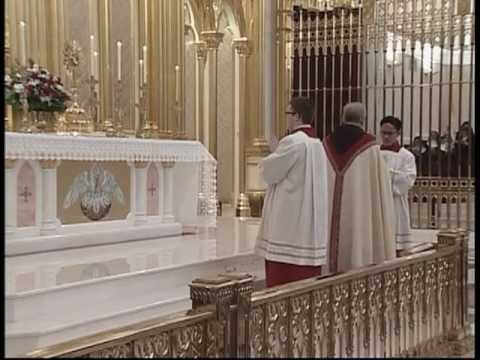 Benediction and Devotions - 2013-01-27 - 1 Cor 12v18-22 - Fr Joseph Mary