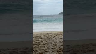 Download lagu Welcome to the oceans #music #lofi #ocean #vibes #vave mp3