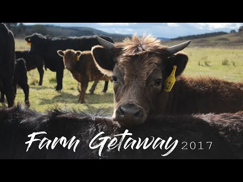download lagu mp3 mp4 Weekend Farm Getaway, download lagu Weekend Farm Getaway gratis, unduh video klip Weekend Farm Getaway