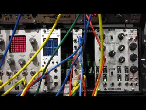Antimatter Audio Brain Seed Real-Time Step Recorder Eurorack | Reverb