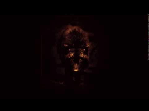 Manufactura - Distorted Duplicity