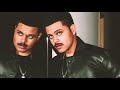 The Weeknd Gayboy Gay Parody