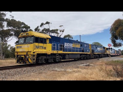 3MP5 | Virginia | 10/11/2021