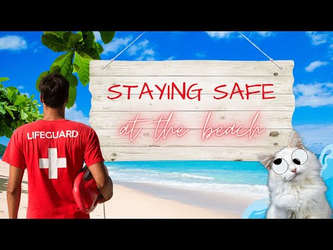 🏖️ Bugs Team 3 unit 6 Extra words and life skills: Staying safe at the beach | piosenki dla dzieci