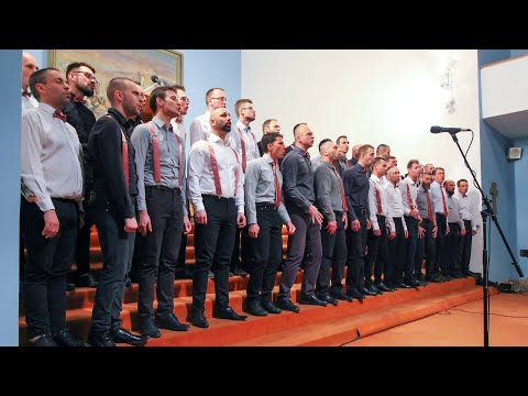 Doodles - Hvězdy nad Brnem