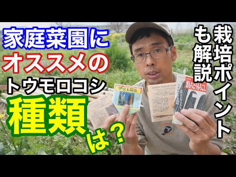 大人 © Entomart.ins