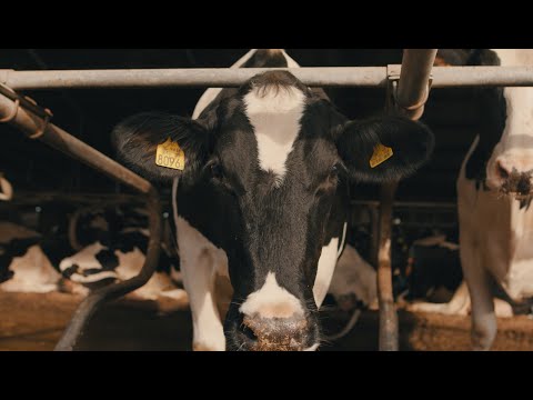 Fabiton mesttechniek: Stikstofstripper