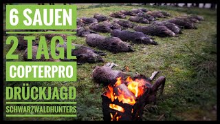 Traumdrückjagd - 6 Sauen für Johannes - Copterpro - Schwarzwaldhunters - 6 Wildboars