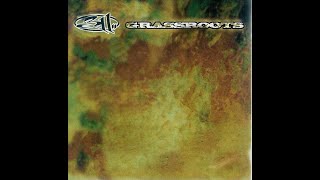 311 - Taiyed (Instrumental)