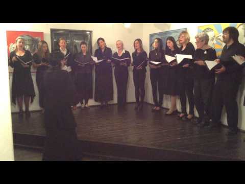 Hor Vračarski solisti - Tiho noći