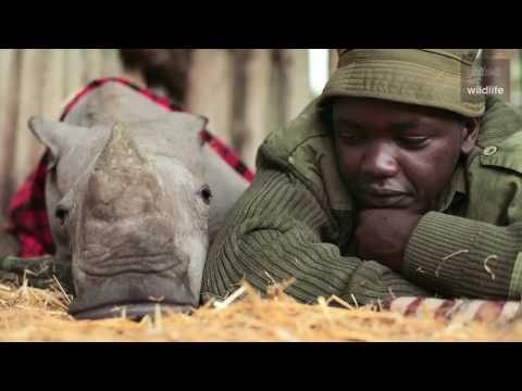 The Armed Rangers of Ol Pejeta
