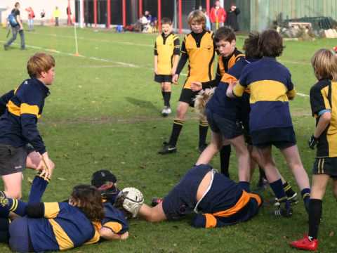 AanKomende Kampioenen Rugby