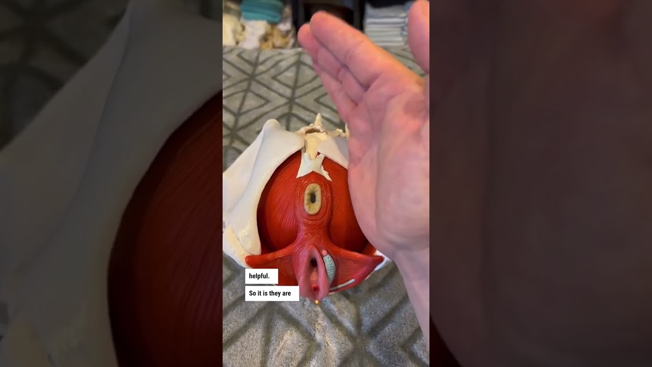 Fast help for Pelvic Floor dysfunction.