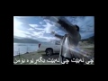 Alişan yalan oldu علی شان درۆبوو 