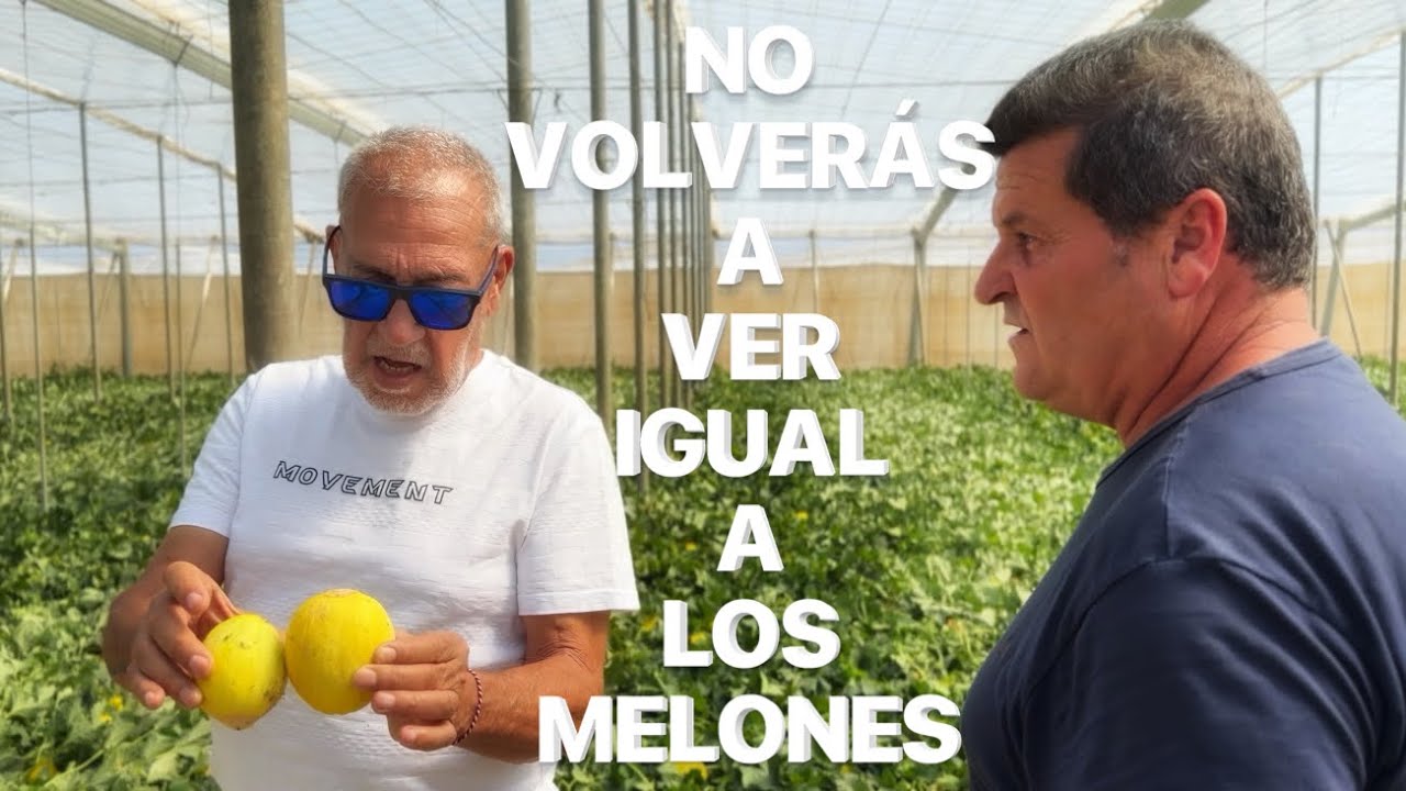 El milagro del mar de plástico   Abril 2026 #111b