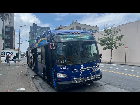 Full Ride 2025 XD60 #6289 on Q44-SBS to Bronx Zoo via Main Street