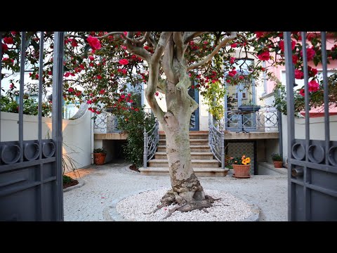 Apresentamos Vila Camélia: Restaurante & Suites no Porto, Portugal