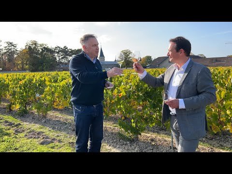 The Friday Bubble - Interview with Pommery Chef de Cave Clement Pierlot