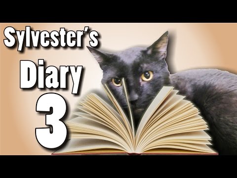 Sylvester's Diary 3 - Talking Kitty Cat