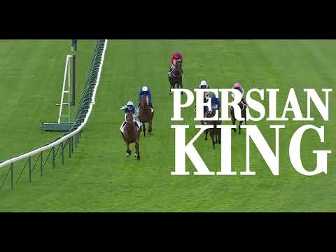 PERSIAN KING First Foals