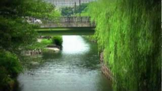 愛は翼にのって　The Wind Beneath My Wings Kenny Rogers