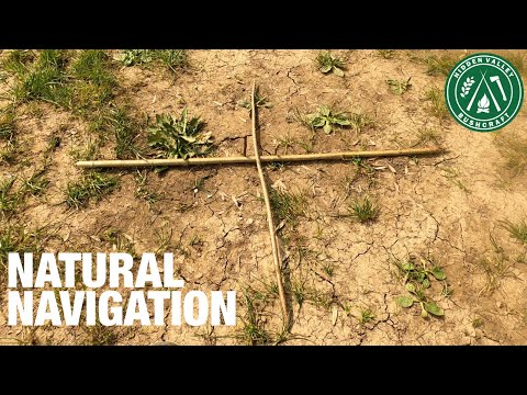 Natural Navigation | Royal Marine & Bushcraft Instructor's Tips to NEVER GET LOST AGAIN