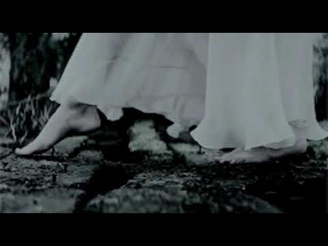 There she is (Miss American) - Mark Hadley ft. Dressage