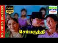 Chembaruthi Tamil Movie Video Songs Juke Box Prashanth Roja Ilaiyaraaja 7th Channel Music