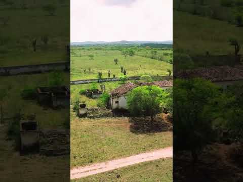 Entre o Campo e o Tempo As Ruínas de uma Fazenda Esquecida #Drone #FazendaAntiga #Natureza #Candeal