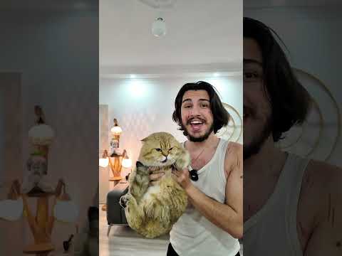 Minnoş diyince gerildi galiba 😬