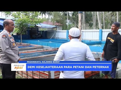 KAPOLSEK PASANGKAYU KUNJUNGI PETERNAK LELE