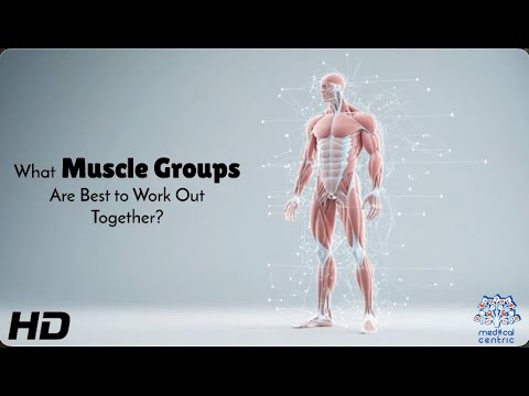 Push, Pull, Legs Explained – What to Train Together?