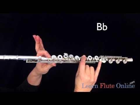Hot Cross Buns on FLUTE for Band D C B flat