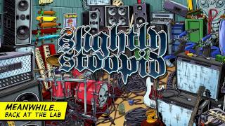 Hold It Down - Slightly Stoopid (Audio)
