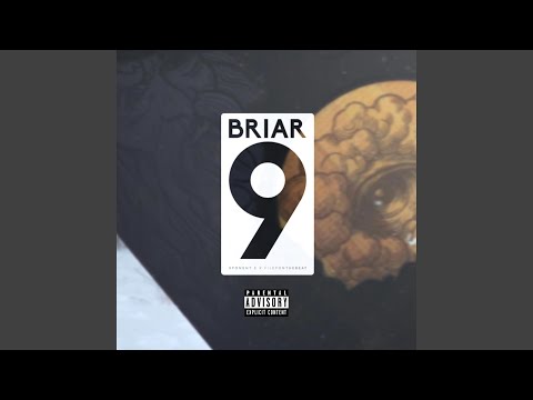 BRIAR 9