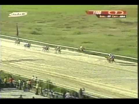 Resumen Viernes, 19 de Diciembre de 2014 - Valencia