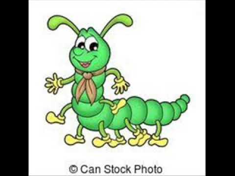 GĄSIENICE II czyli NOGI STONOGI