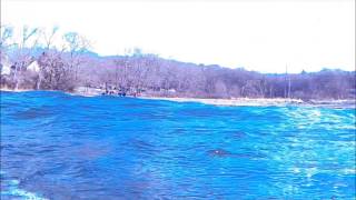 preview picture of video 'Scuba Diving Plum Cove Rockport Ma. 1/1/2014'