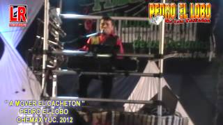 preview picture of video 'A MOVER EL CACHETÓN- ''PEDRO EL LOBO DE LOS TECLADOS'' 2012'