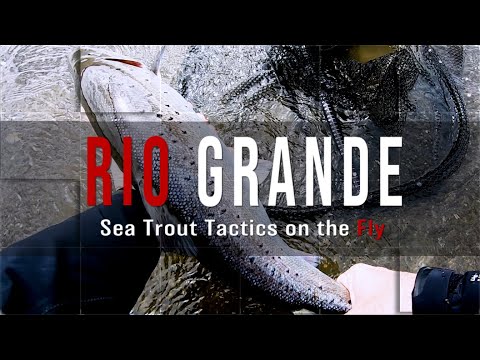 How to Catch Big Sea Trout on The Rio Grande - Gear & Tactics for the Fly