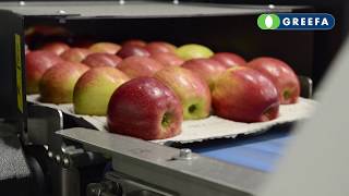 Robô de embalagem GREEFA SmartPack