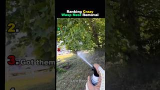 Ranking Crazy Wasp Nest Removal