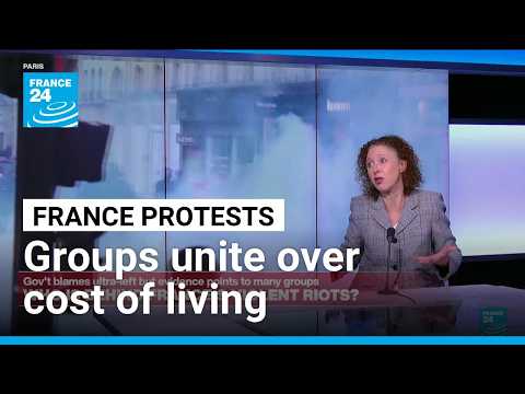 France: Who took part in Saturday's protests?