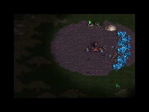 Crazy Zerg vs Terran for new Zerg players